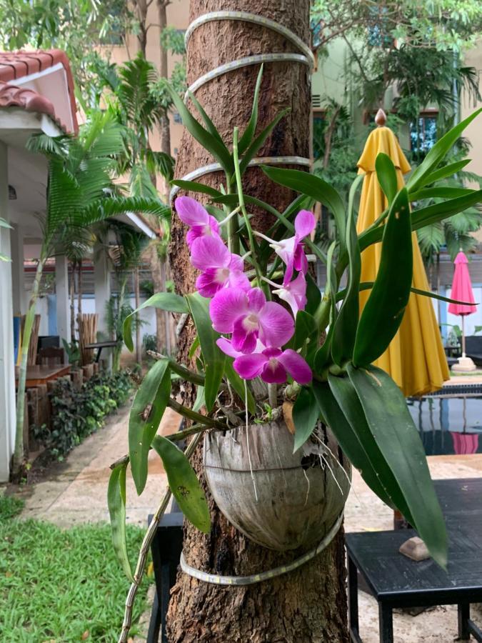 Готель Angkor Magic Tree Boutique Сіємреап Екстер'єр фото